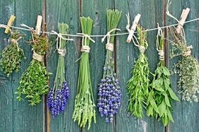 Herbas para tratar o fungo das unhas dos pés